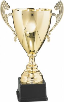 Кубок 3005 (Кубок 3005D (35см) D-140)