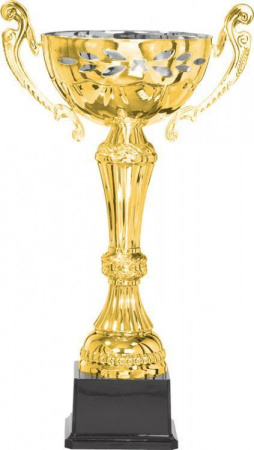 Кубок 4006 (Кубок 4006D (29см) D-100)