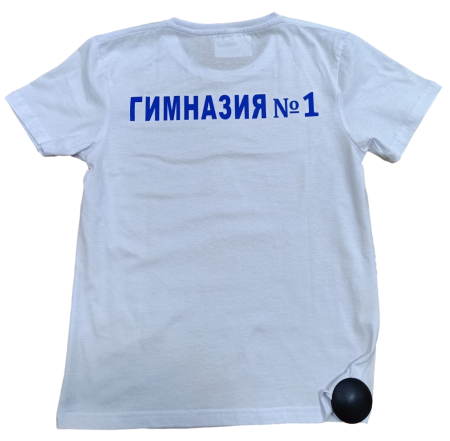 mobile_file_2024-01-29_12-46-22_pixian_ai