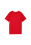 IMG-6252808167506377029