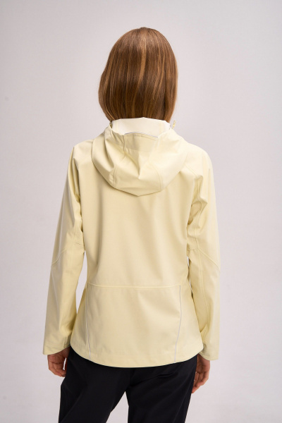 431406001770963028-1440368_4